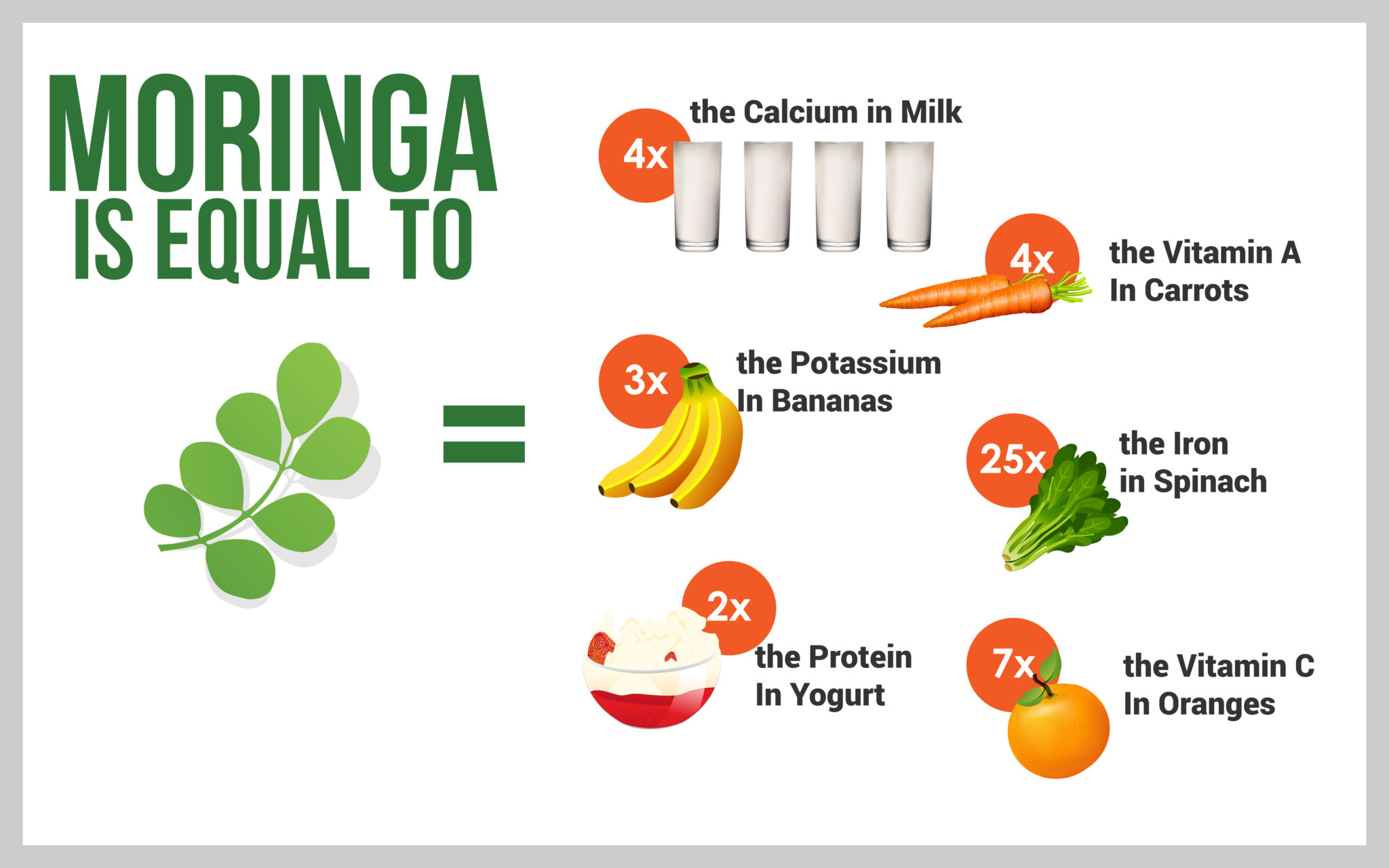 Welcome to the Magical Moringa Tree Nutrition for your body