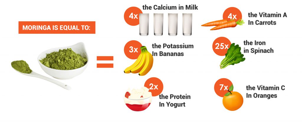 Moringa A Wealth Of Nutritional Value For Your Body - Moringa Magic ...